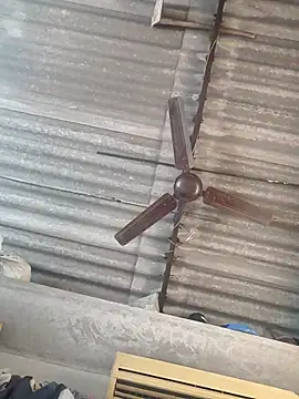 lovely----bhabhi online show from November 2025 03:39:02 AM