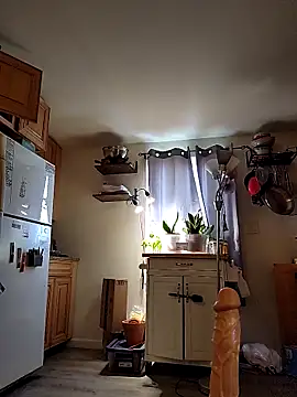 HardSteele97 online show from February 2026 08:50:02 PM