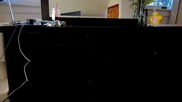 Snapshot of lucidmia chatting on March 2025 10:56:02 PM lucidmia online show from March 2025 10:56:02 PM