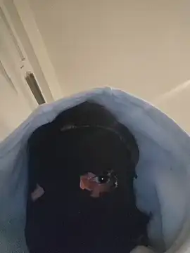 Bigdick420anal online show from February 2026 05:47:01 AM