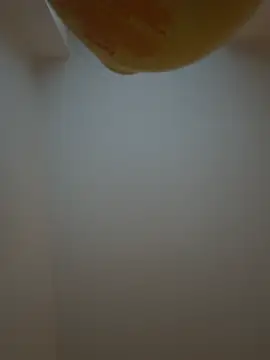 Bleueyez007 online show from February 2026 04:28:02 PM