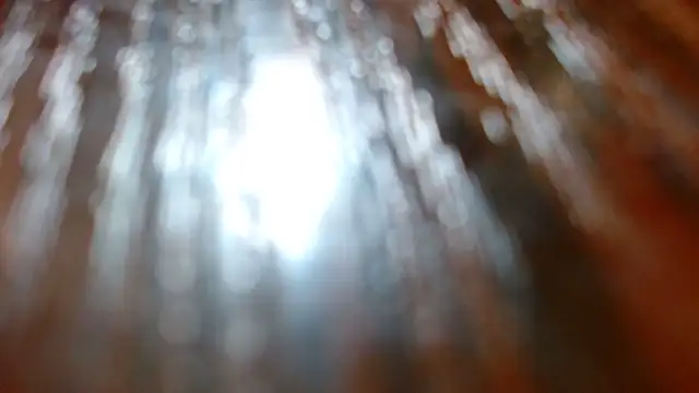 moonmaaiden online show from March 2026 06:51:02 AM