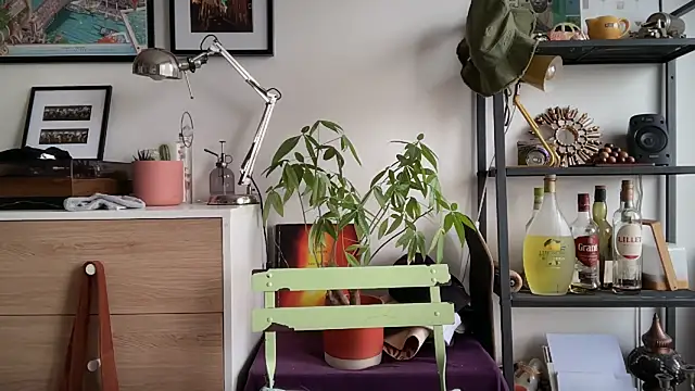 MikymikeBBWD online show from November 2025 11:47:02 AM