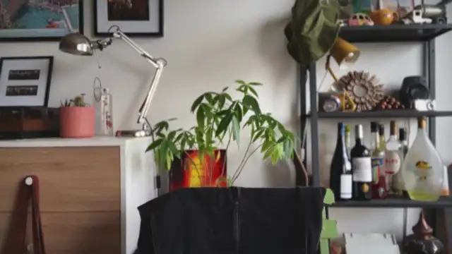 MikymikeBBWD online show from January 2026 10:41:02 AM