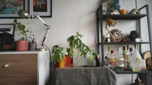 Snapshot of MikymikeBBWD chatting on February 2026 02:18:02 PM MikymikeBBWD online show from February 2026 02:18:02 PM