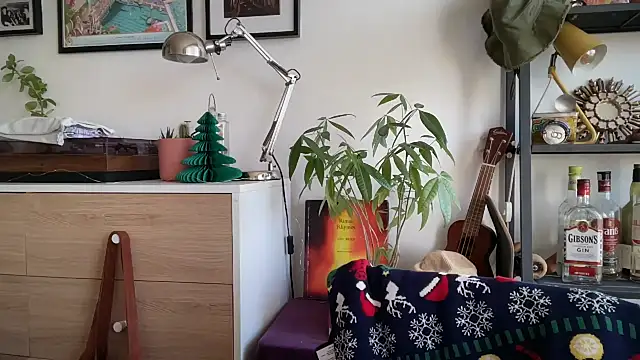 MikymikeBBWD online show from December 2025 11:25:01 AM