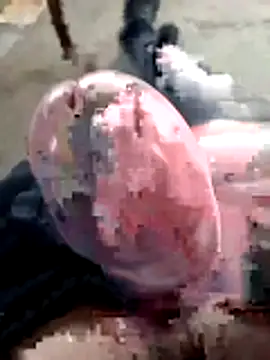 mar4oto1 online show from March 2026 11:38:02 AM