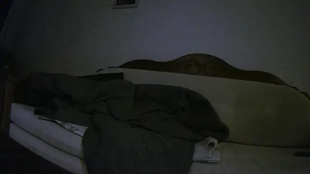 Teemu online show from March 2026 02:33:02 AM