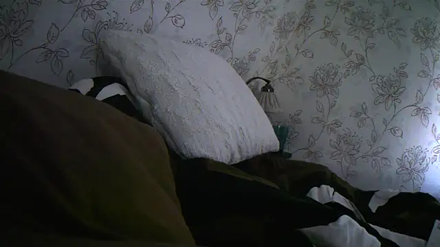 Snapshot of Teemu chatting on September 2025 02:34:01 PM Teemu online show from September 2025 02:34:01 PM