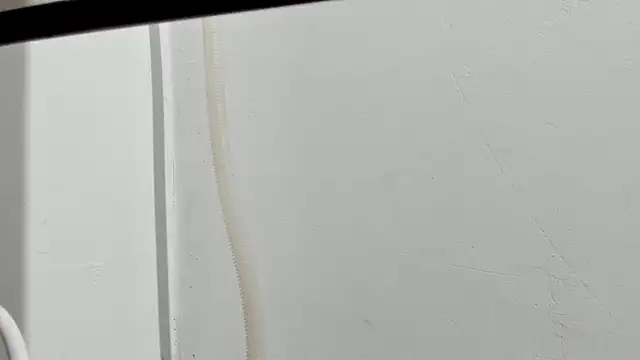 Aleshkastone online show from January 2026 03:41:02 PM