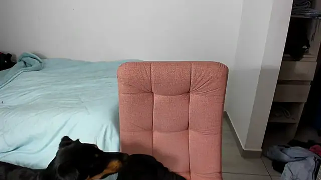 Greciaruiz  online show from February 2026 11:26:02 PM