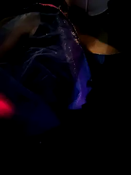 Snapshot of PPP_25 chatting on November 2025 07:19:01 PM PPP 25 online show from November 2025 07:19:01 PM