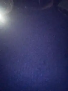 Snapshot of PPP_25 chatting on November 2025 07:50:02 PM PPP 25 online show from November 2025 07:50:02 PM