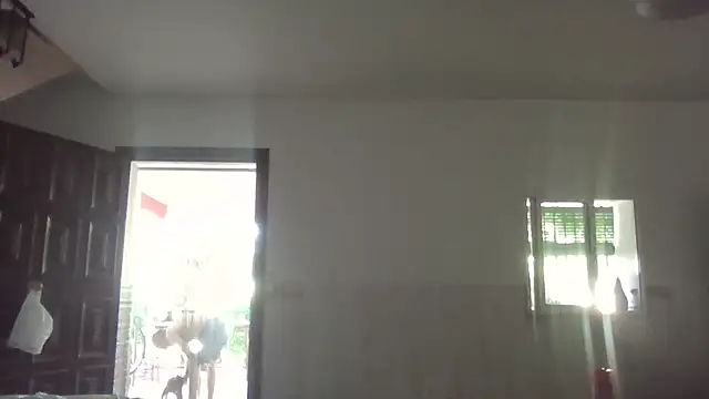 llopaco online show from July 2026 11:54:01 AM