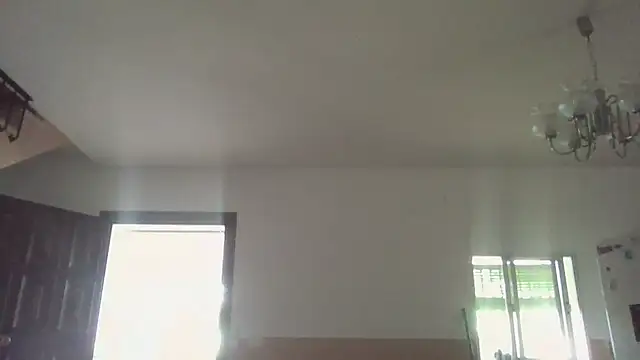 llopaco online show from June 2026 10:20:01 AM
