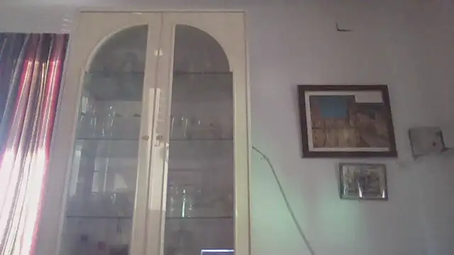 llopaco online show from November 2025 01:21:02 PM