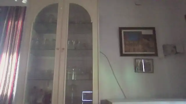 llopaco online show from November 2025 02:17:01 PM