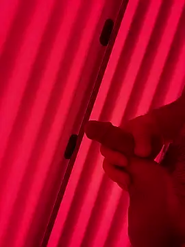 plaintreebull online show from January 2026 07:42:01 PM