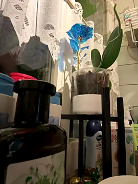 sexymelli18 online show from December 2025 07:35:01 PM