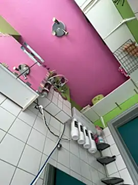 Snapshot of sexymelli18 chatting on April 2026 12:44:01 PM sexymelli18 online show from April 2026 12:44:01 PM