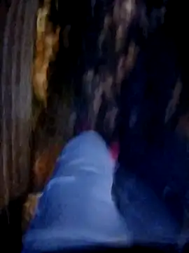 Snapshot of Eusuntnoulgigolo chatting on October 2025 05:11:01 PM Eusuntnoulgigolo online show from October 2025 05:11:01 PM