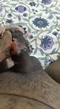 desi pb02 online show from November 2025 04:16:01 AM