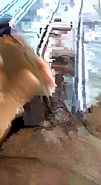 desi pb02 online show from November 2025 04:29:02 AM