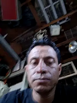 salchichon 69 online show from May 2026 02:33:02 PM