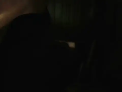 PreetyKitten online show from December 2025 03:38:02 PM