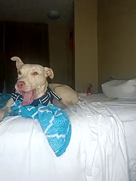 Snapshot of KingSlim56 chatting on December 2025 02:05:02 AM KingSlim56 online show from December 2025 02:05:02 AM