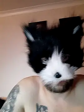 Alex essex69 online show from February 2026 11:59:02 PM