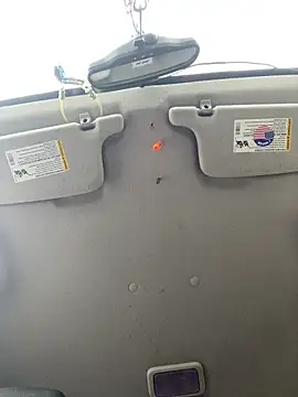 QueenM3 online show from November 2025 05:17:02 PM