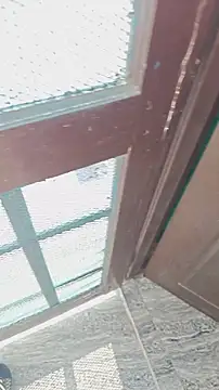 HorNy Bro Sis online show from November 2025 07:13:01 AM