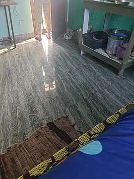 HorNy Bro Sis online show from January 2026 06:06:01 AM