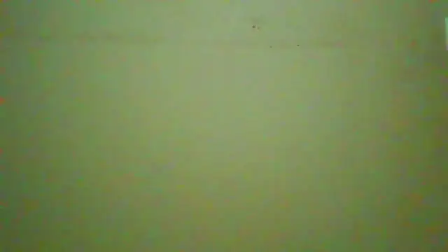 TwistedR online show from May 2026 02:06:02 AM
