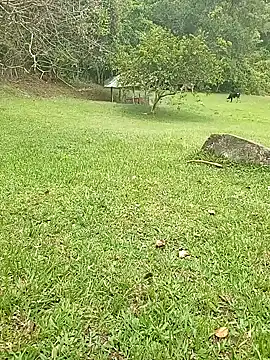 Mycansonhot online show from October 2025 04:38:02 PM