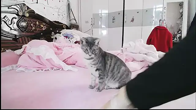 hebe-02 online show from November 2025 02:14:02 AM