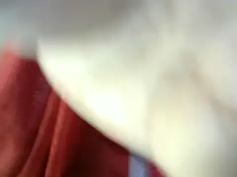 NisatTabassum1 online show from February 2025 07:17:01 AM