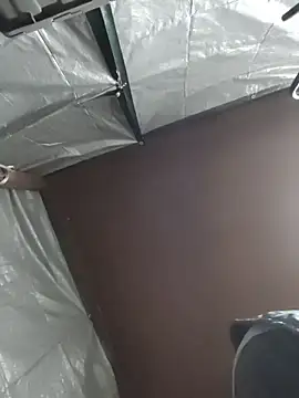 Snapshot of HTXBELLE chatting on December 2025 02:43:01 AM HTXBELLE online show from December 2025 02:43:01 AM