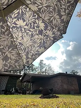 Snapshot of HTXBELLE chatting on December 2025 07:37:02 PM HTXBELLE online show from December 2025 07:37:02 PM