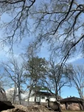 Snapshot of HTXBELLE chatting on February 2026 08:18:01 PM HTXBELLE online show from February 2026 08:18:01 PM