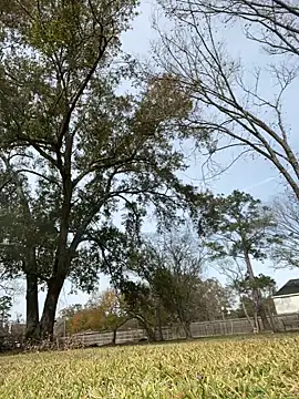 Snapshot of HTXBELLE chatting on December 2025 05:06:01 PM HTXBELLE online show from December 2025 05:06:01 PM