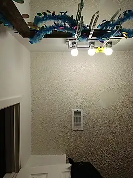 Snapshot of HTXBELLE chatting on February 2026 10:10:02 PM HTXBELLE online show from February 2026 10:10:02 PM