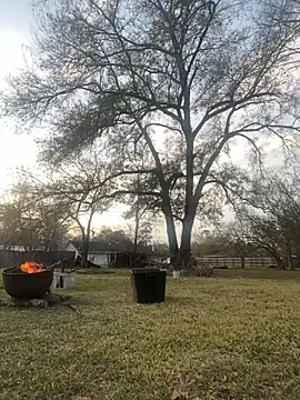 Snapshot of HTXBELLE chatting on January 2026 11:19:01 PM HTXBELLE online show from January 2026 11:19:01 PM