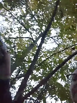 Snapshot of HTXBELLE chatting on November 2025 11:05:01 PM HTXBELLE online show from November 2025 11:05:01 PM