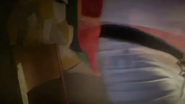 DominantDong online show from February 2026 08:11:02 AM