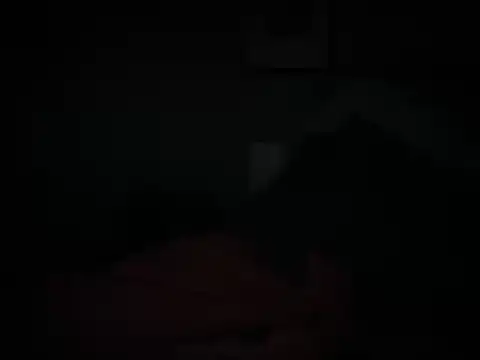 DominantDong online show from February 2026 01:37:01 AM