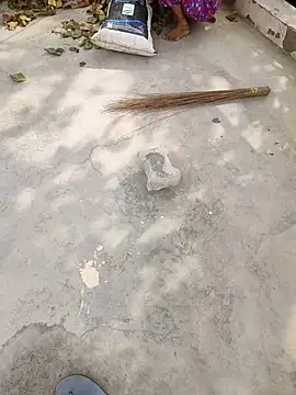 indian couple4 online show from April 2026 03:31:01 AM