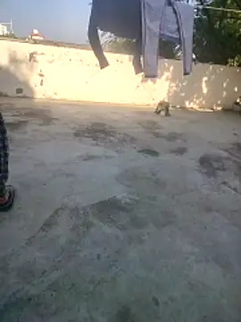 indian couple4 online show from December 2025 09:02:02 AM