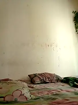 Rafi boy online show from April 2026 03:46:02 AM